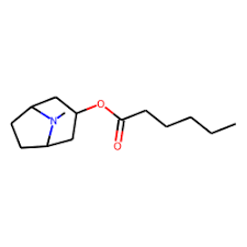 8-Azabicyclo[3.2.1]octan-3-ol, 8-methyl-, acetate (ester), endo- (CAS  3423-27-6)