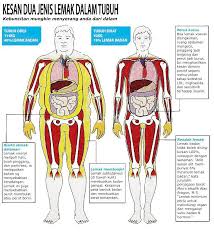 5 Tips Kurangkan Lemak Dalam Badan Dengan Cepat Dan Berkesan Atul Hamid