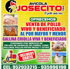 Polleria Josecito