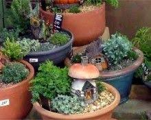 Miniature Fairy Garden Display Project New Hopetoun Garden Centre Edinburgh Fairy Garden Displays Fairy Garden Miniature Fairy Gardens