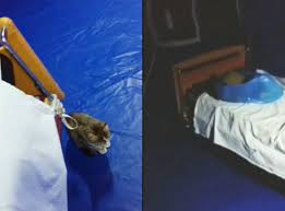 Exista doar o acoperire de aproximativ 60% de studenti cu profil in it, fata de cat este cererea. Ce Salariu Are Un PoliÈ›ist Local Suma ImensÄƒ Pe Care O IncaseazÄƒ Stiri Romania