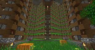 Ez sugar cane is way better , you get way more per harvest as well as it is more efficient if you stack rows on top of each other. My Underground Farming Area Which Includes 2 Halves Of The Sugar Cane Diamond Farm 2 Melon And 6 Pumpkin Towers And A Cactus Farm Minecraft