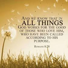 Image result for Romans 8 28 -34