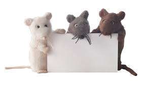 Buy Furniture Home Accessories Online In Egypt Vdohnovlennye Naryady