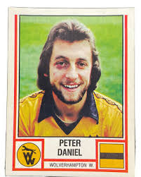 Panini Football 81