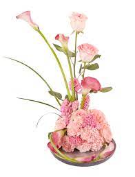 Flamingo Flower Centerpieces Best Flower Wallpaper