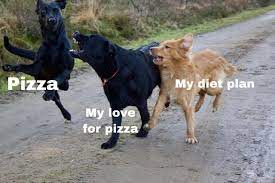 When you already ate way to much, but then someone brings out cake, so you're like… yes, please. Guess I Ll Stay Fat Memes