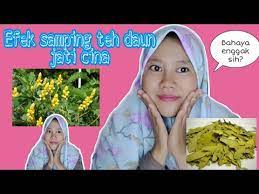Check spelling or type a new query. Ef K Samping Teh Daun Jati Cina Bahaya Gak Sih Youtube