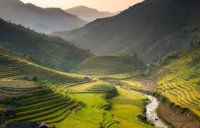 I love the flavors of tamarind, chili peppers and also loads of fresh greens that go in almost every dish. 25 Top Tourist Attractions In Vietnam With Map Photos Touropia