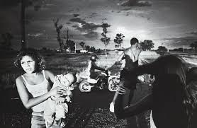 Trent parke christmas tree bucket. Trent Parke Biography