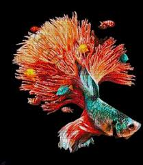 Pin On Glass Art