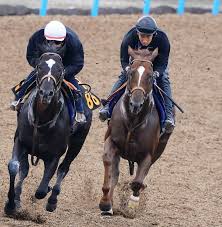 The yasuda kinen is a japanese international grade i thoroughbred horse race held at the tokyo racecourse in tokyo. Bv2aes9dstb57m