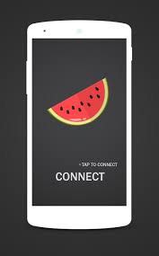 Melon Vpn For Android Apk Download