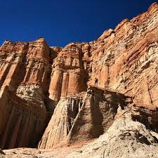 Tom Royer (@tom.royer) • Instagram photos and videos