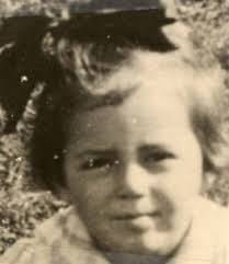 Braun Family History: Last Name Origin & Meaning