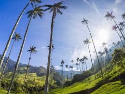 Maybe you would like to learn more about one of these? Bogota To Tayrona 10 Day Colombia Tour On The Go Tours