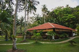 Maybe you would like to learn more about one of these? Where To Go For A Yoga Retreat In Sri Lanka This Eco Luxe Resort Is Amazing