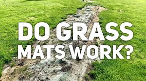 We did not find results for: Do Grass Seed Mats Work Youtube