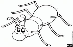 Ausmalbilder Insekten Und Andere Kleine Tiere Malvorlagen Malvorlagen Tiere Ausmalbilder Kleine Tiere