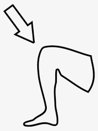 As many have asked recently what colours i use when colouring skin i'll just repost this! Colouring Pages Knee Pain Coloring Book Human Body Knees Clipart Black And White Transparent Png 563x750 Free Download On Nicepng