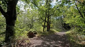 Châtaigneraie - Clermont Auvergne Tourisme