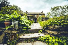 We did not find results for: The Magical Cottage Where Beatrix Potter Wrote Her Whimsical Books Dusty Old Thing