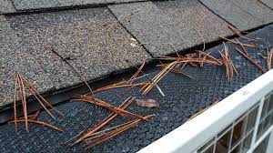 Gutter guards & covers, leaf rainware protection, fascia and soffit. Great Nw Gutters Gutters Downspouts Portland Sherwood Oregon Or Install Gutters Downspouts Vancouver Washington Wa Gutter Companies Tigard Beaverton Tualatin Lake Oswego West Linn Wilsonville Oregon Or