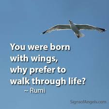 You Were Born With Wings Why Prefer To Walk Through Life Rumi Inspirational Quotes Angel Quotes Words