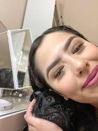 Why do dogs seek attention while owners work?