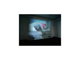 Jarig opa 66 admin juni 24, 2021 jarig opa 66. Pipilotti Rist Biography