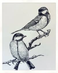 Has been specialized in spinning various materials since 1946. Bas Geeraets Twitterissa Tekening Gemaakt Het Zijn Twee Koolmeesjes Great Tits Hahaha