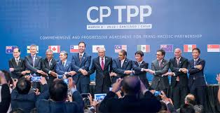 O cptpp foi formalmente constituído em 19 de dezembro de 1997, por escritura pública lavrada no 9.º cartório notarial de lisboa e publicada na iii série do diário da república (2.º suplemento) n.º 43/98. à¸—à¸³à¸„à¸§à¸²à¸¡à¸£ à¸ˆ à¸ Cptpp à¹à¸¥à¸°à¸ˆà¸°à¹€à¸› à¸™à¸­à¸¢ à¸²à¸‡à¹„à¸£à¸«à¸²à¸à¹„à¸—à¸¢à¹€à¸‚ à¸²à¸£ à¸§à¸¡à¸„à¸§à¸²à¸¡à¸•à¸à¸¥à¸‡à¸—à¸²à¸‡à¸à¸²à¸£à¸„ à¸²à¹ƒà¸«à¸¡ à¸™