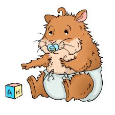 Caring for baby dwarf hamsters. Hamster Care The Ultimate Guide To Caring For Hamsters