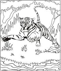 Pin On Animal Coloring Pages