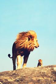 Pin By Ashley Crosby On Inspiration And Beauty Animals Beautiful Animals Cute Animals