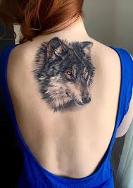 Realistic, full color wolf tattoo done by Kyle Proia at Tymeless Tattoo in  Baldwinsville, NY. : r/tattoos