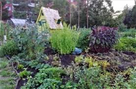 Vereine Im Stadtverband Dresdner Gartenfreunde