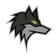 Dark Wolf Solutions