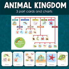 Animal Kingdom Chart Worksheets Teaching Resources Tpt