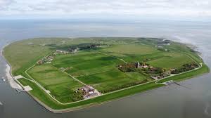 Nirgendwo sonst auf der welt gibt es eine landschaft wie in unserer heimat. Nationalpark Hamburgisches Wattenmeer Feiert 30 Geburtstag Cnv Medien