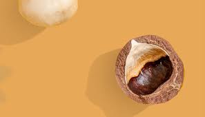 Image result for Macadamia