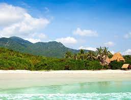 Jungle Beach Vietnam Laid Back Bamboo Beach Resort Beach Beach Resorts Trip
