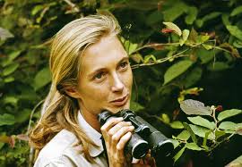 The Jane Goodall Institute and Vital Impacts Launch a Joint Campaign t