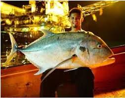 Sebelum Memancing Kena Tahu Jaga Anak Hanis Zalikha Pelakon Hanis Zalikha Menjelaskan Dia Sentiasa Menyoko Countries Around The World Fish Around The Worlds