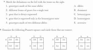Fill it out and determine the phenotypes and proportions in the offspring. Dihybrid Cross Worksheet Answers Awesome 15 Best Of Dihybrid Cross Worksheet Answers Chessmu Dihybrid Cross Worksheet Dihybrid Cross Context Clues Worksheets