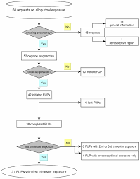 Flow Chart On Cases Of Allopurinol Exposure And Pregnancy