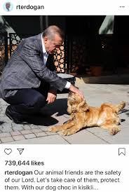 Alhamdulillah, pujian dan syukur kepada ilahi dengan pelbagai kurniaan dan anugerah yang tidak terhitung buat kita semua. Reza Zainal Twitterren Presiden Turki Recep Tayyib Erdogan Bersama Anjingnya Choc Orang Melayu Selalu Ditakutkan Dengan Anjing Walhal Ada Mazhab Maliki Tidak Mewajibkan Sertu Atau Samak Imam Malik Adalah Guru Kpd Imam