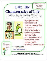 Pin On Middle School Teaching Ideas