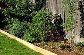 You can either lay a single course of timbers into the ground, or you can assemble two courses with just a few extra steps. Learn How To Install Landscape Timber Edging Landscape Timber Edging Timber Garden Edging Wood Landscape Edging