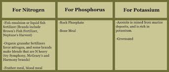 How To Read A Fertilizer Label Plumeria Today